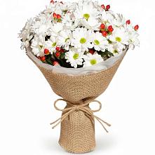 Букет цветов из:  Хризантемы #REPLACE_PRED# Курганинске