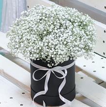 Цветочная композиция из Гипсофила в шляпной коробке #REPLACE_PRED# Курганинске