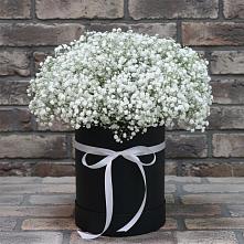Цветочная композиция из Гипсофила в шляпной коробке #REPLACE_PRED# Курганинске